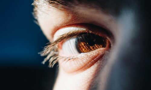 Nahaufnahme eines menschlichen Auges: Das Auge ist leicht seitlich ausgerichtet, mit scharf erkennbarer brauner Iris und feinen Lichtreflexen darin. Die Wimpern und die Hautstruktur rund um das Auge sind deutlich sichtbar, beleuchtet von weichem, seitlichem Licht vor dunklem, unscharfem Hintergrund.