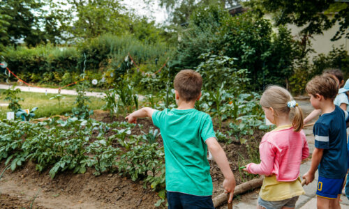 Kinder stehen in einem Gemeinschaftsgarten und betrachten gemeinsam ein Gemüsebeet. Ein Kind zeigt auf die Pflanzen, während die anderen mit Gartengeräten neben dem Beet stehen.