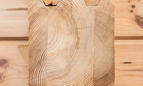 Nahaufnahme einer Holzkonstruktion mit sichtbaren Jahresringen und ineinandergreifenden Holzverbindungen.